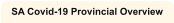 SA Covid-19 Provincial Overview